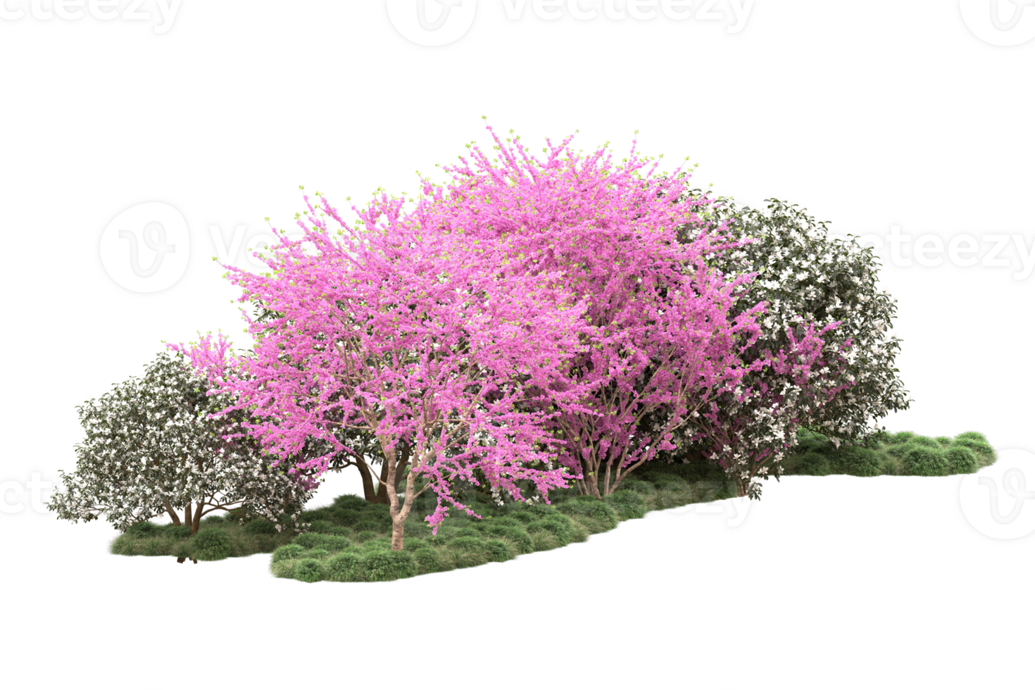 Realistic forest isolated on transparent background. 3d rendering - illustration png