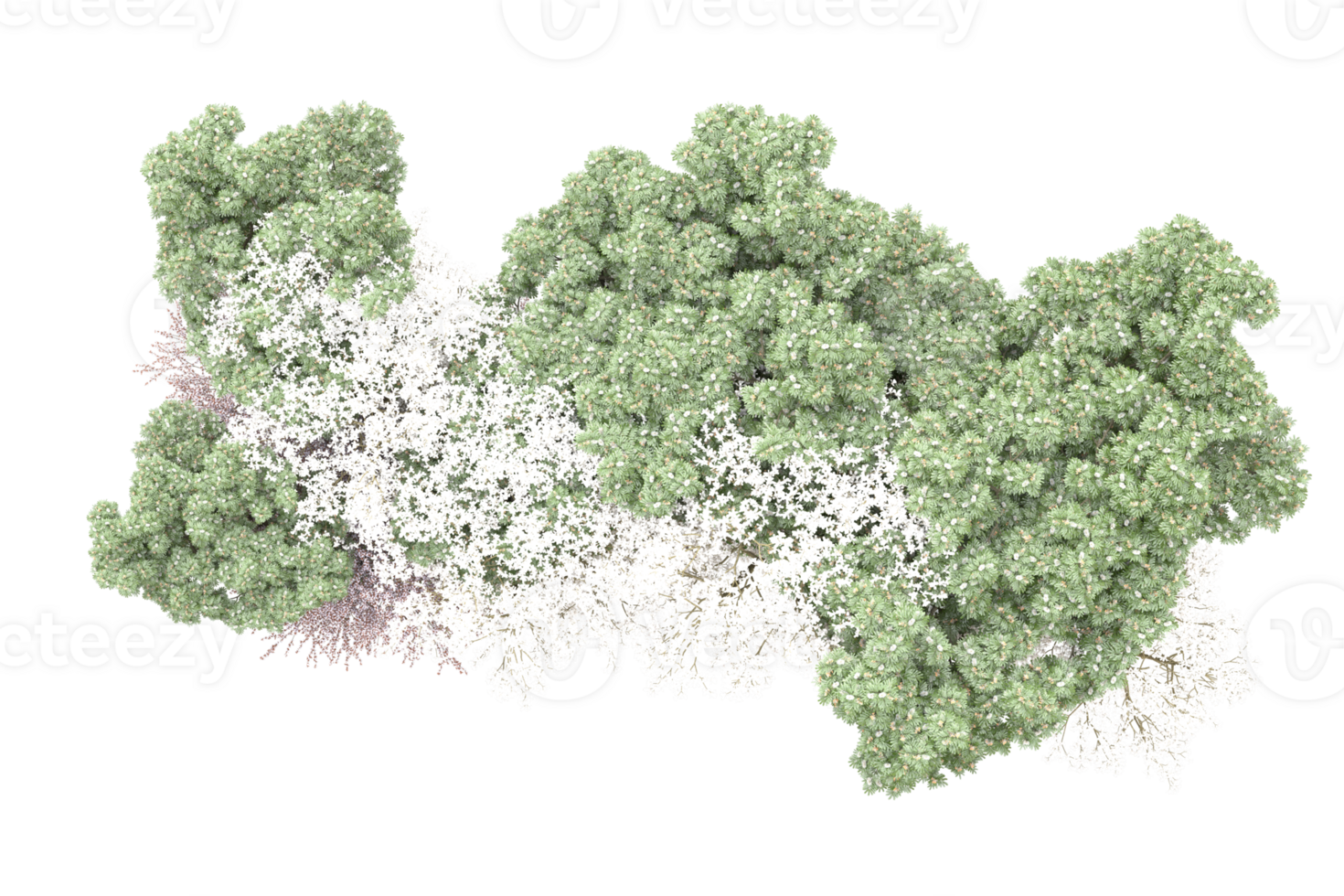 Realistic forest isolated on transparent background. 3d rendering - illustration png