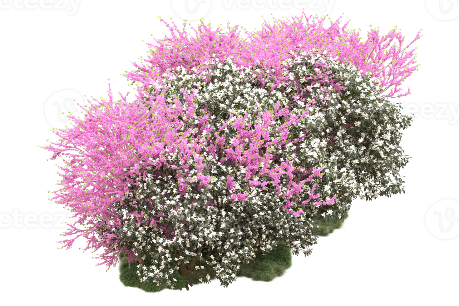 Realistic forest isolated on transparent background. 3d rendering - illustration png
