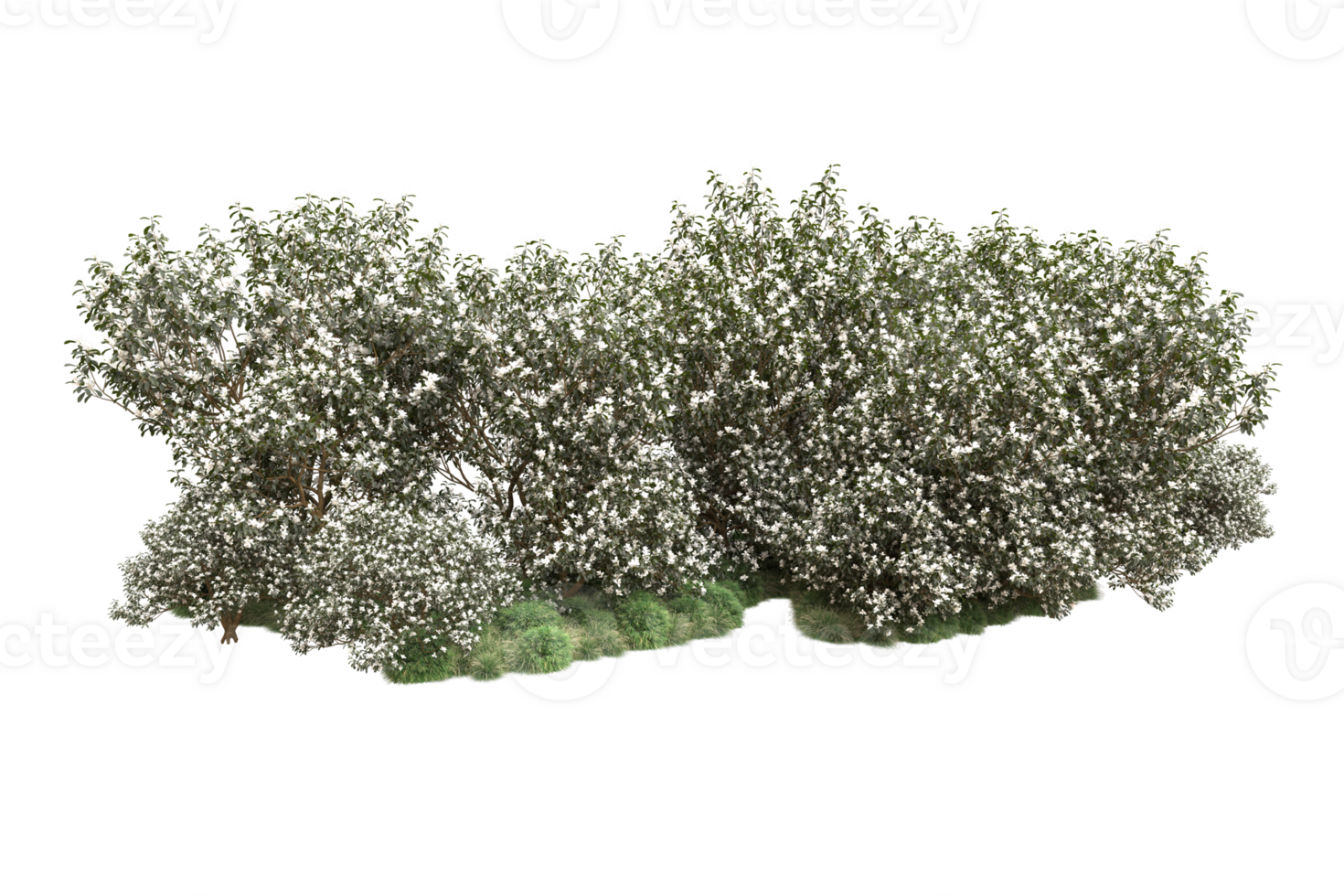 Realistic forest isolated on transparent background. 3d rendering - illustration png