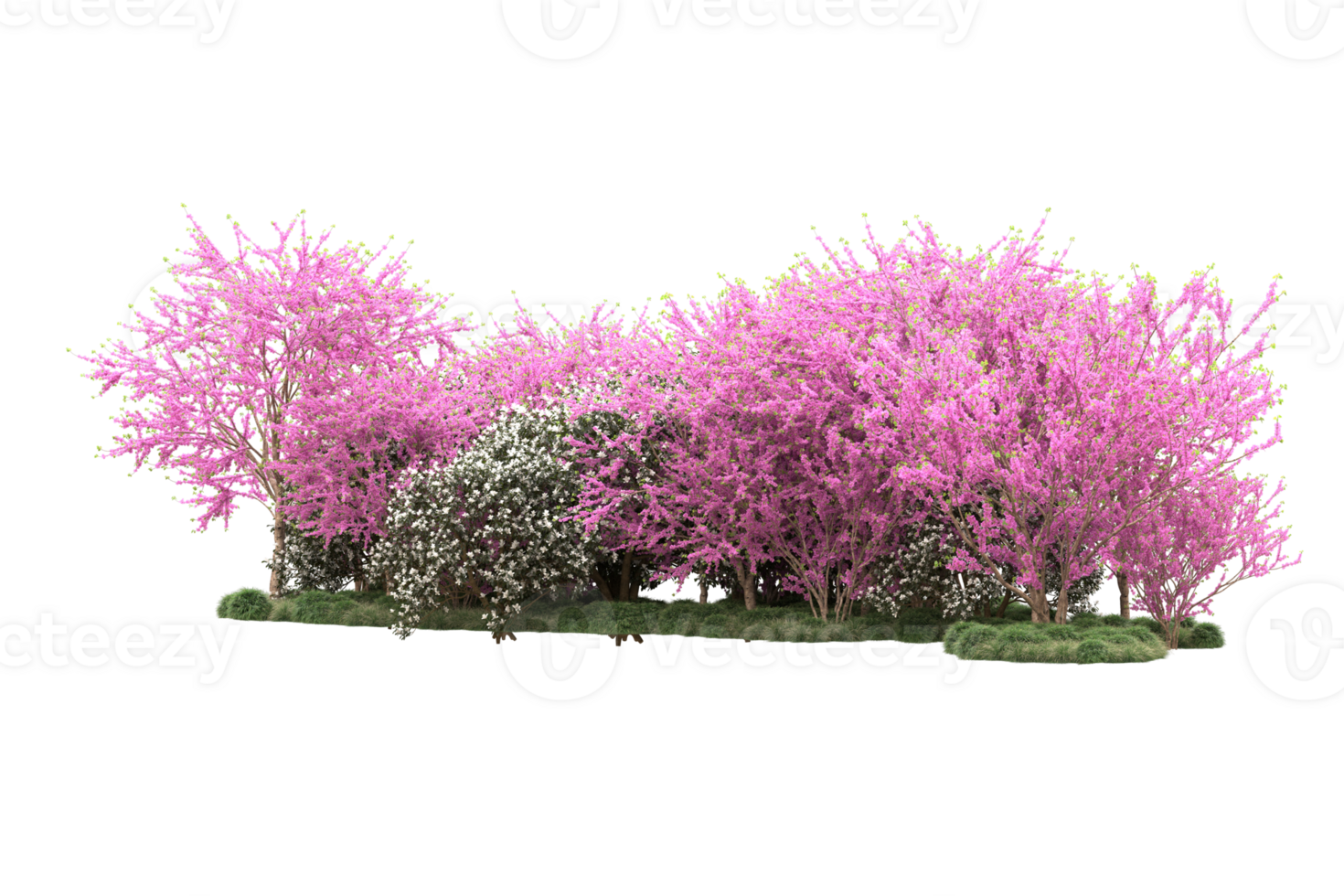 Realistic forest isolated on transparent background. 3d rendering - illustration png