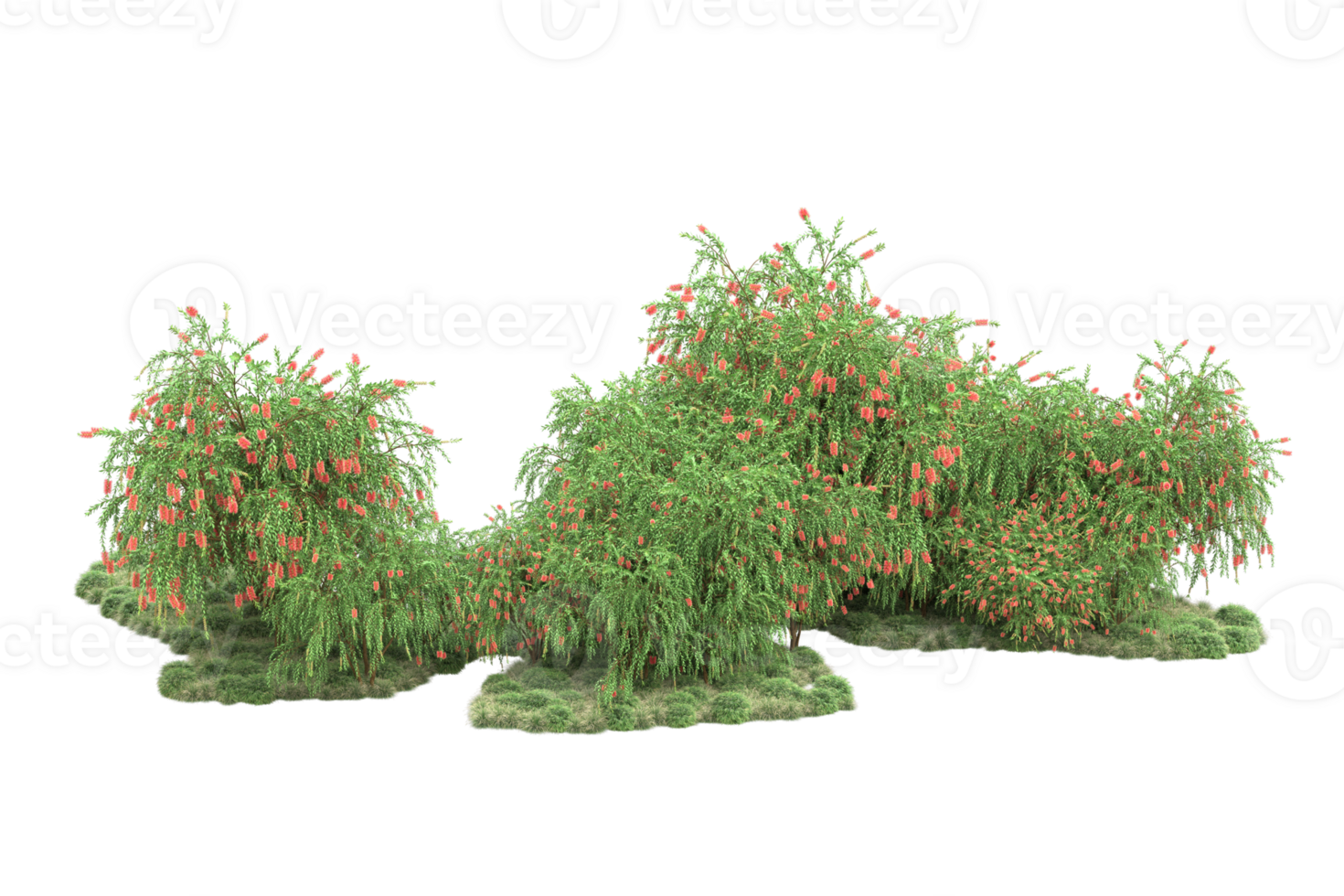 Realistic forest isolated on transparent background. 3d rendering - illustration png