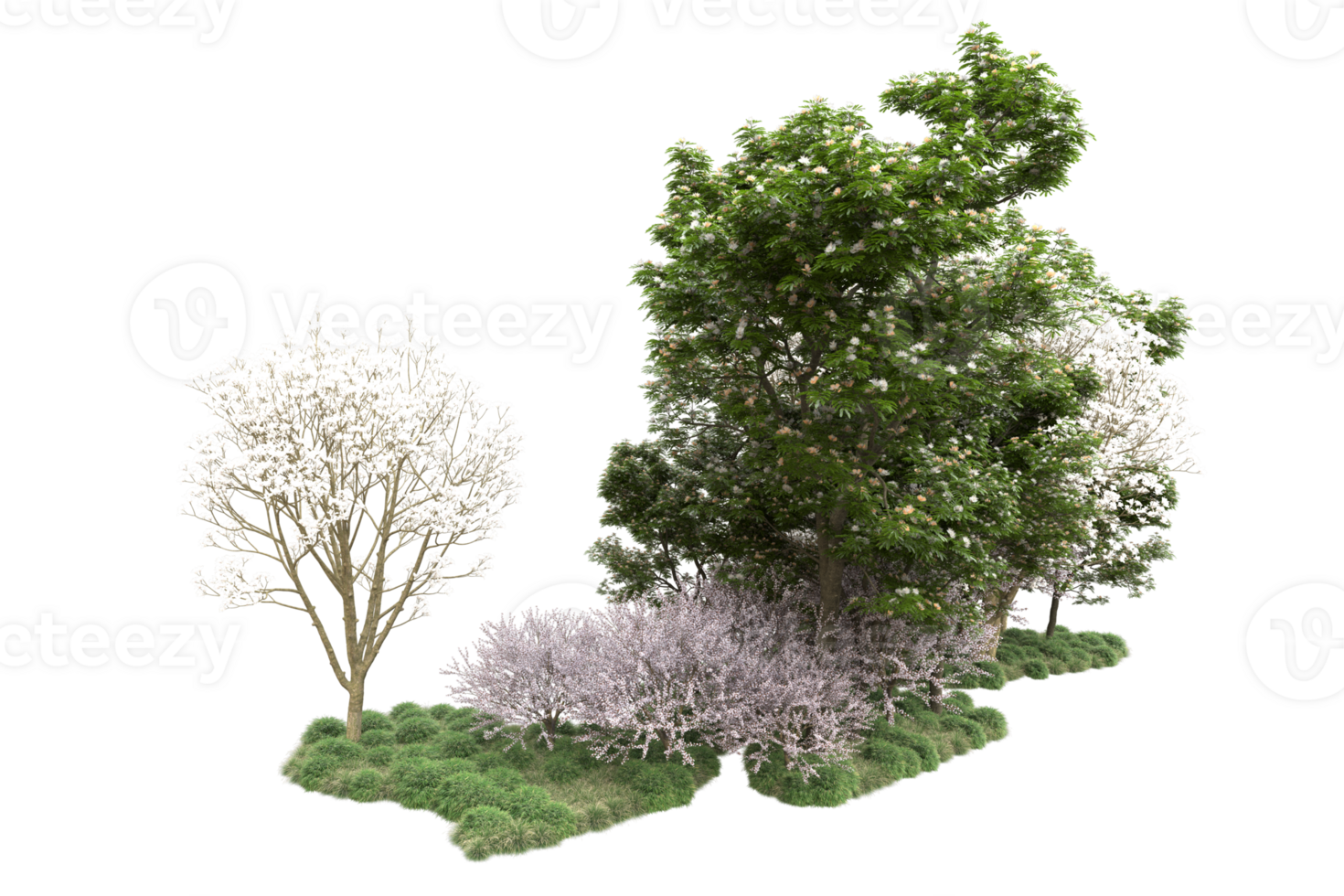 Realistic forest isolated on transparent background. 3d rendering - illustration png