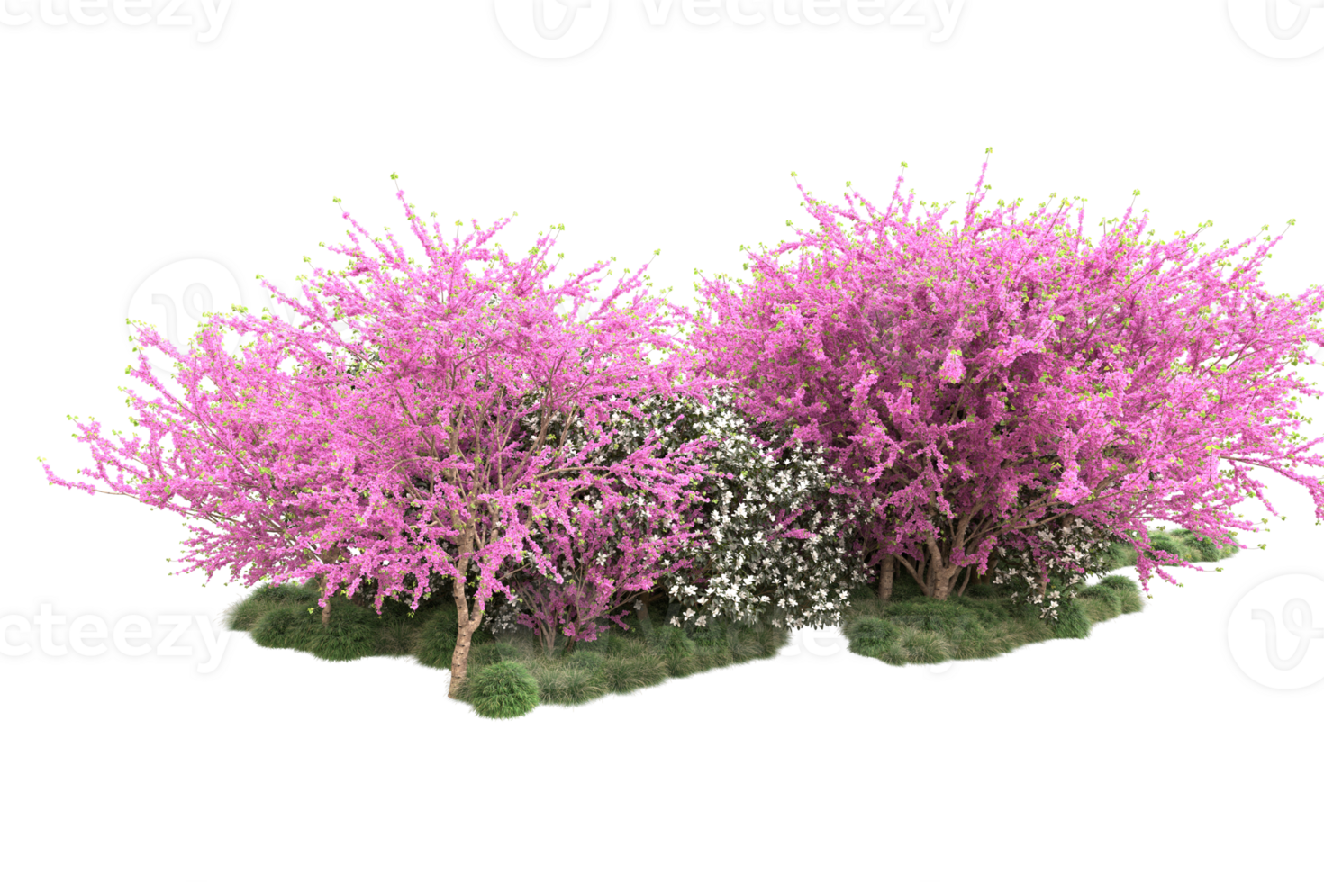 Realistic forest isolated on transparent background. 3d rendering - illustration png