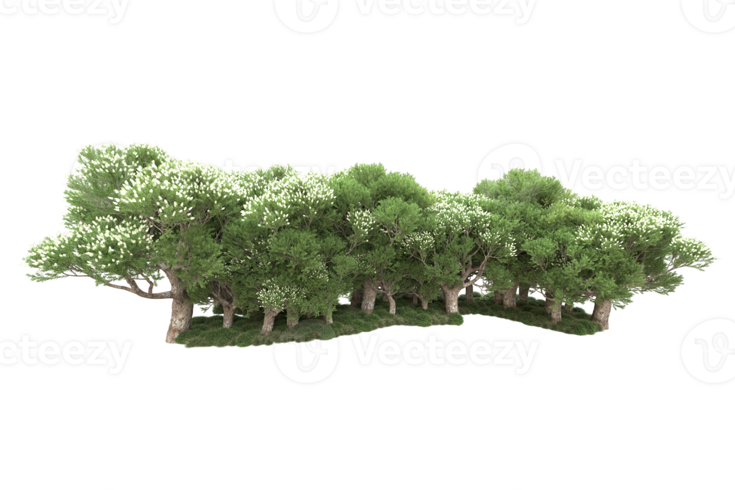 Realistic forest isolated on transparent background. 3d rendering - illustration png