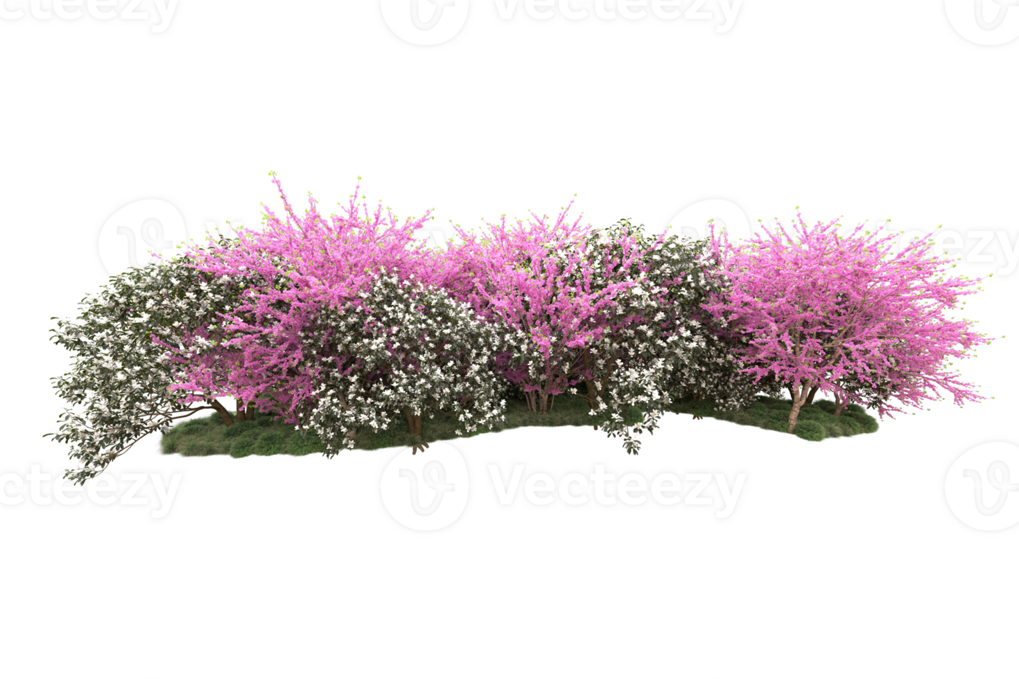 Realistic forest isolated on transparent background. 3d rendering - illustration png