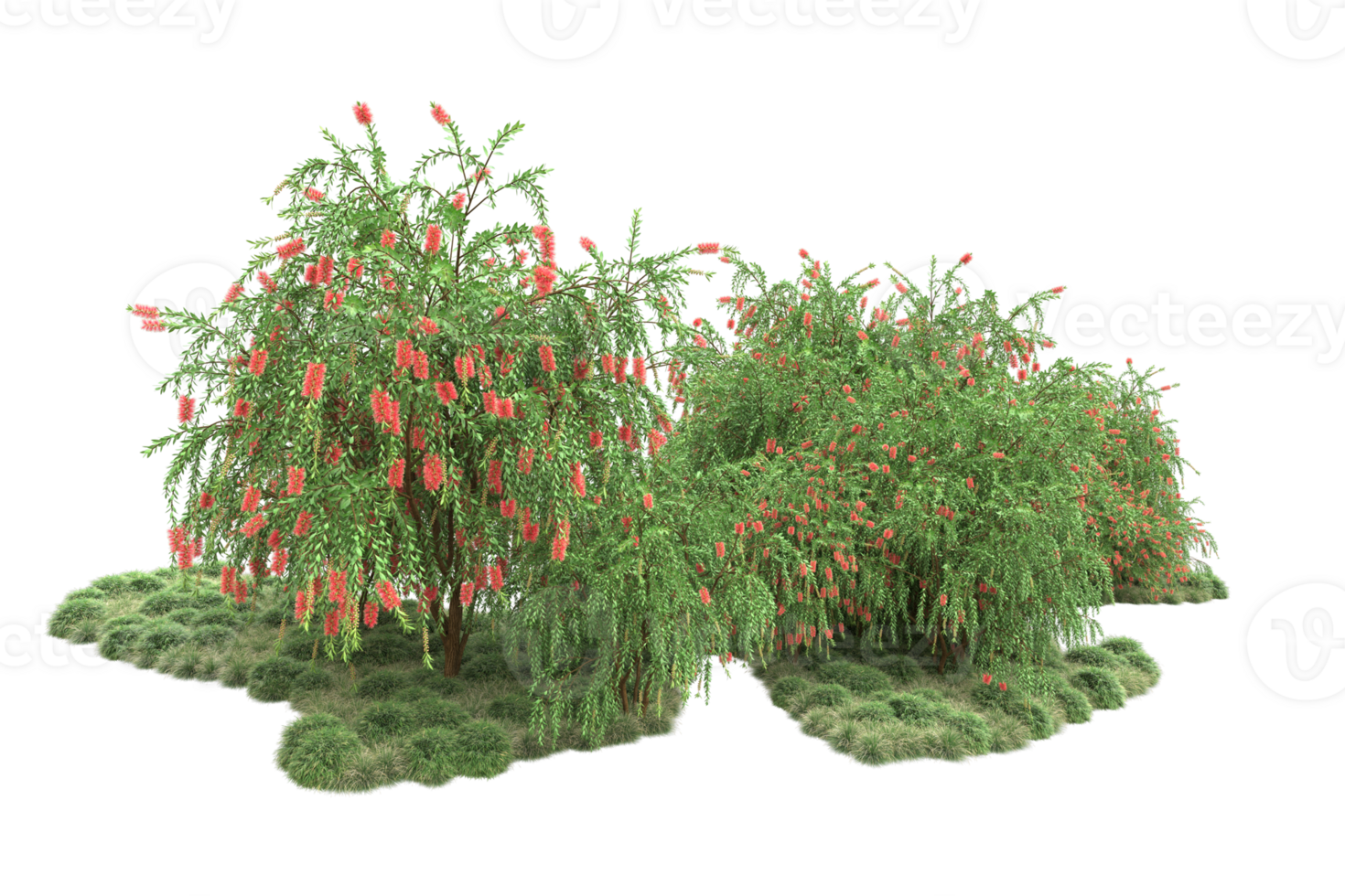 Realistic forest isolated on transparent background. 3d rendering - illustration png