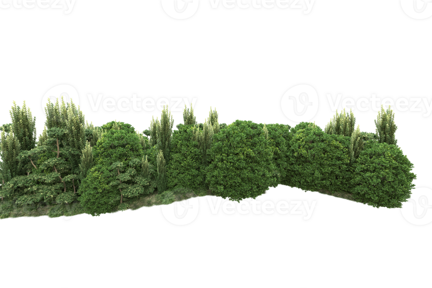 Realistic forest isolated on transparent background. 3d rendering - illustration png