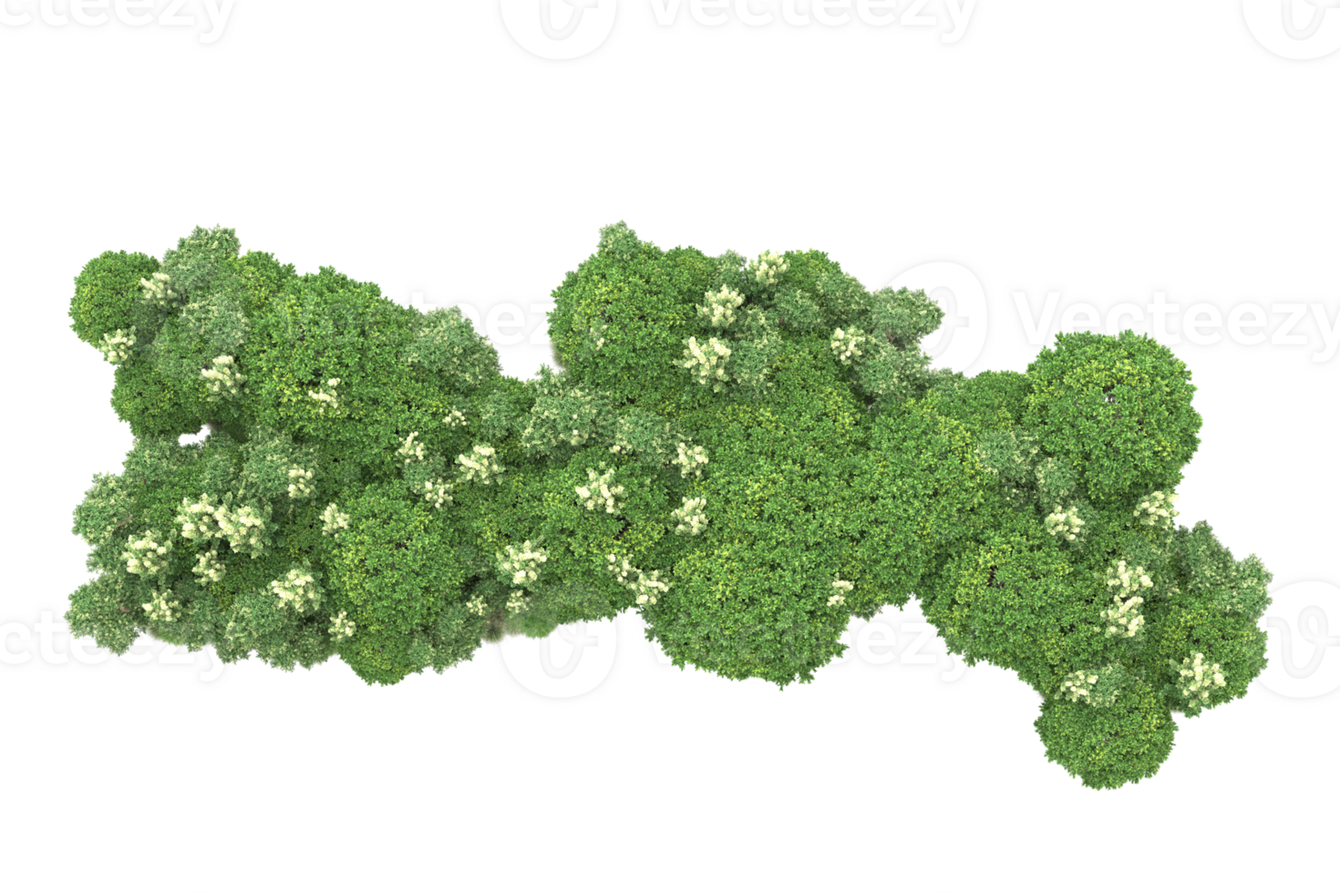 Realistic forest isolated on transparent background. 3d rendering - illustration png