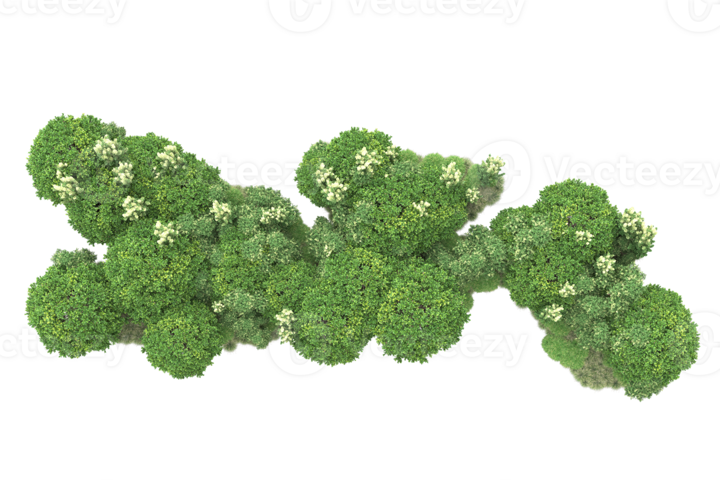 Realistic forest isolated on transparent background. 3d rendering - illustration png