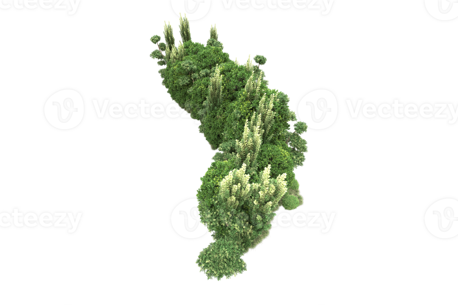 Realistic forest isolated on transparent background. 3d rendering - illustration png