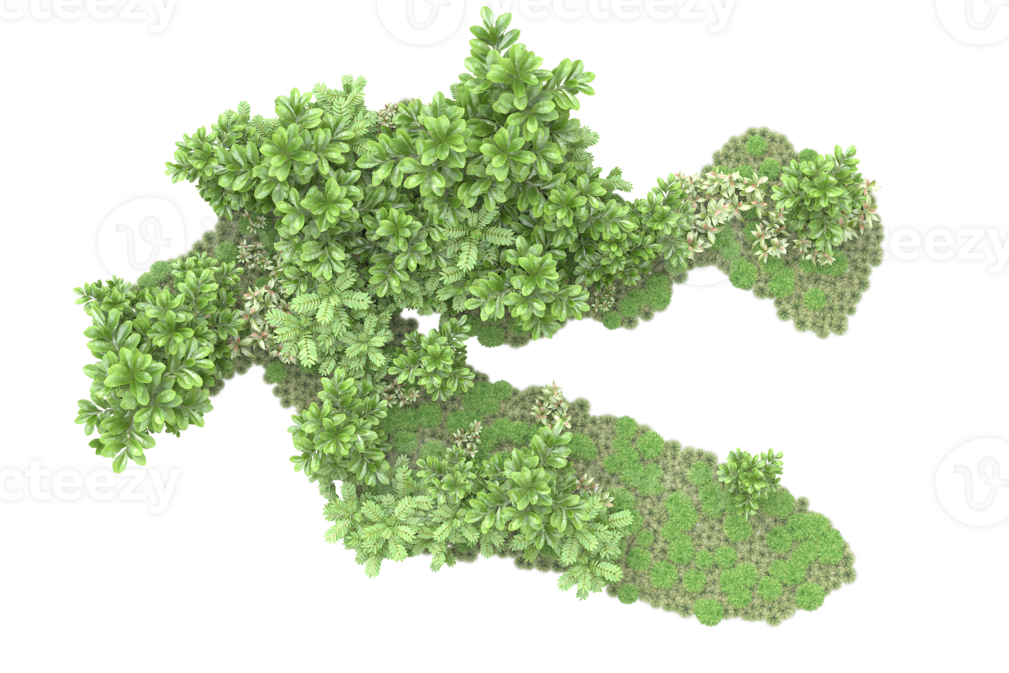 Realistic forest isolated on transparent background. 3d rendering - illustration png
