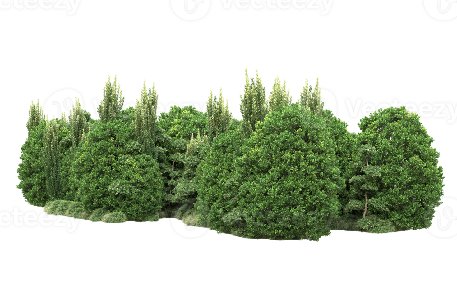 Realistic forest isolated on transparent background. 3d rendering - illustration png