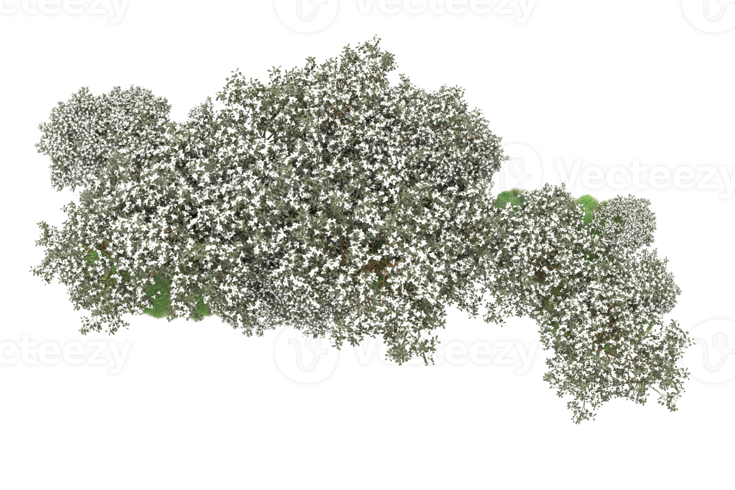 Realistic forest isolated on transparent background. 3d rendering - illustration png