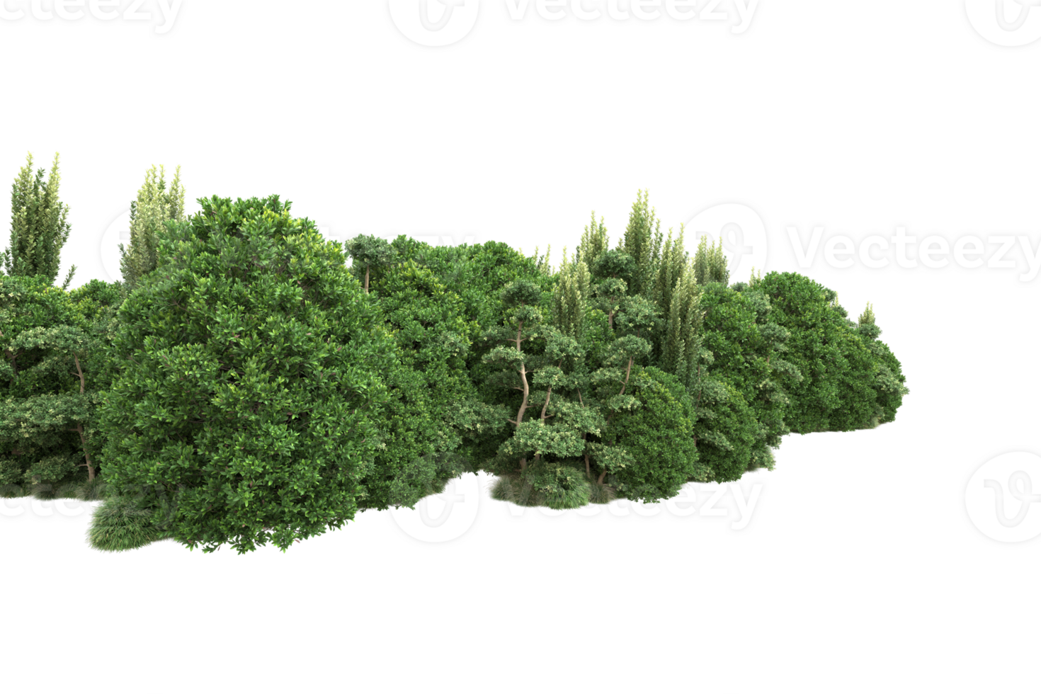 Realistic forest isolated on transparent background. 3d rendering - illustration png