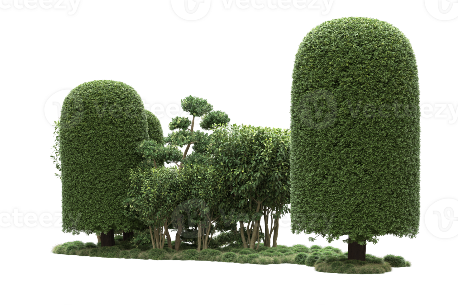Realistic forest isolated on transparent background. 3d rendering - illustration png