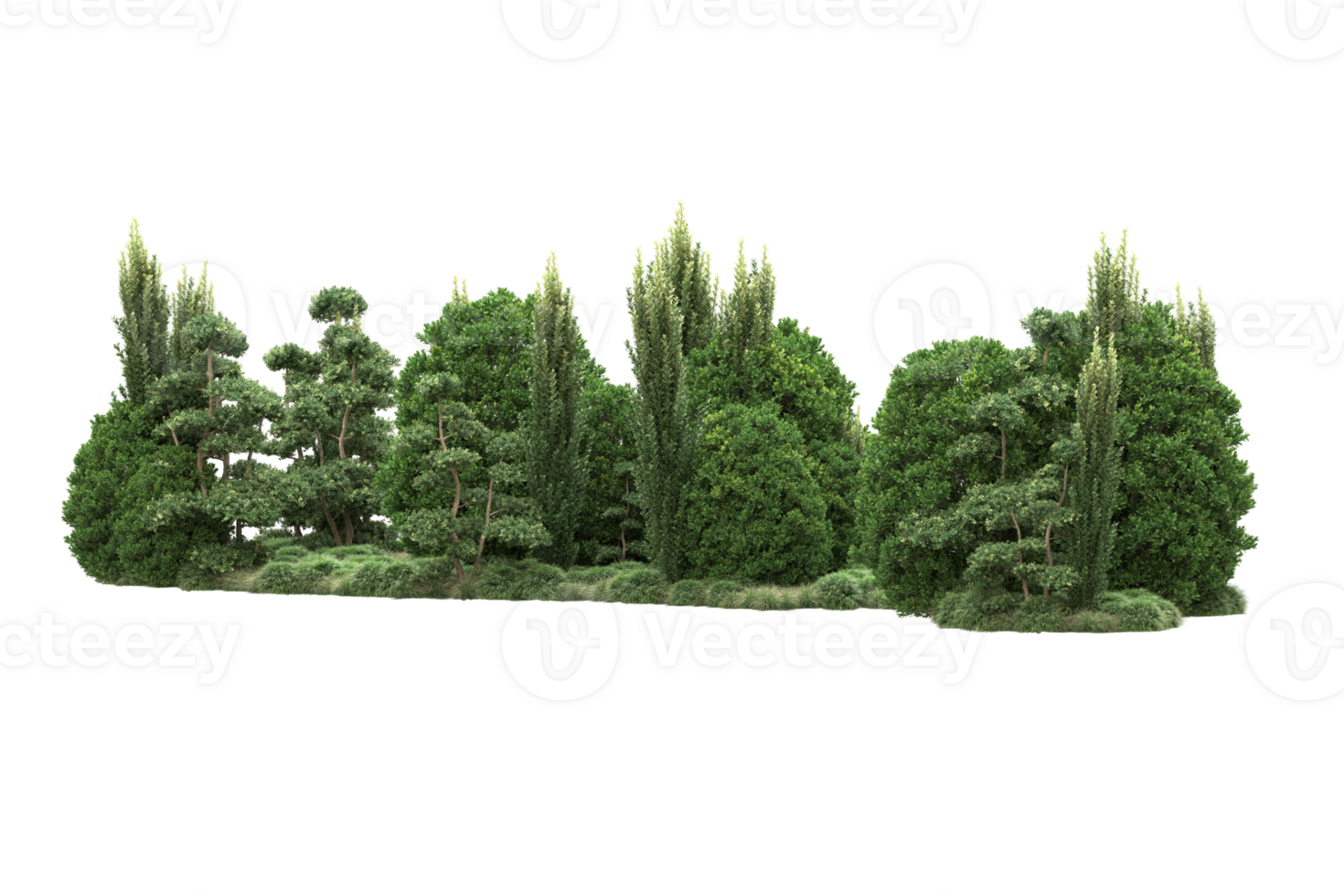 Realistic forest isolated on transparent background. 3d rendering - illustration png
