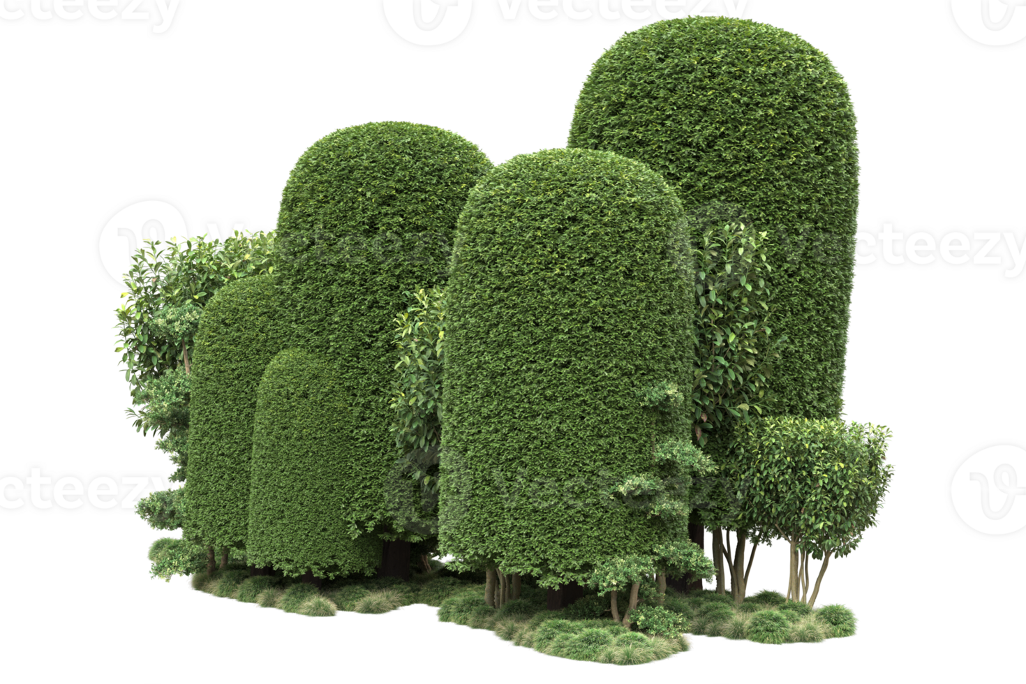 Realistic forest isolated on transparent background. 3d rendering - illustration png