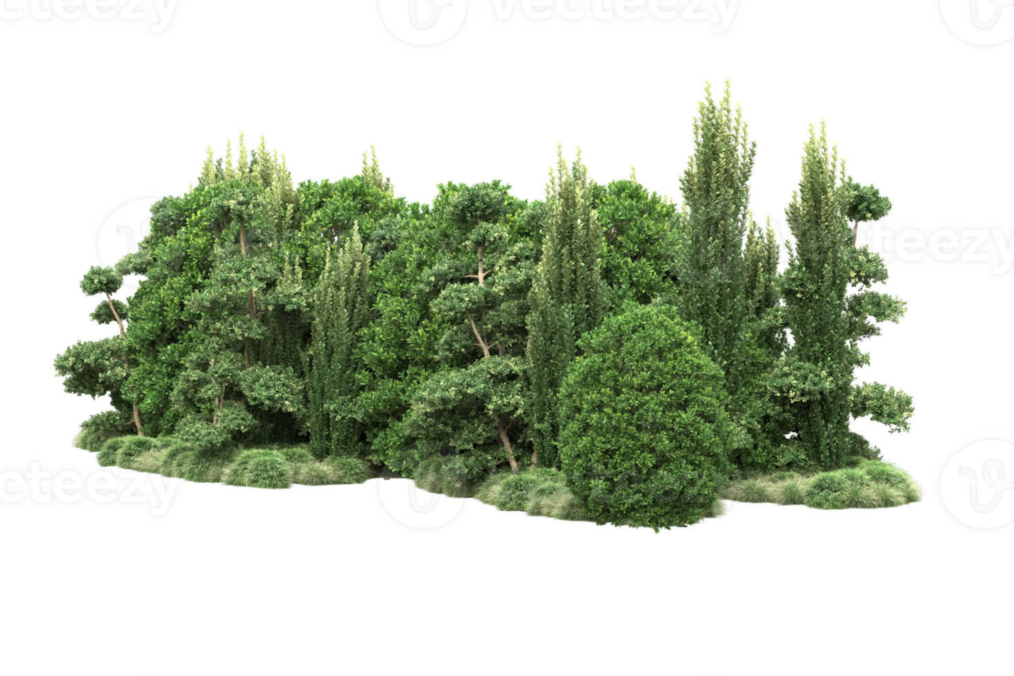 Realistic forest isolated on transparent background. 3d rendering - illustration png