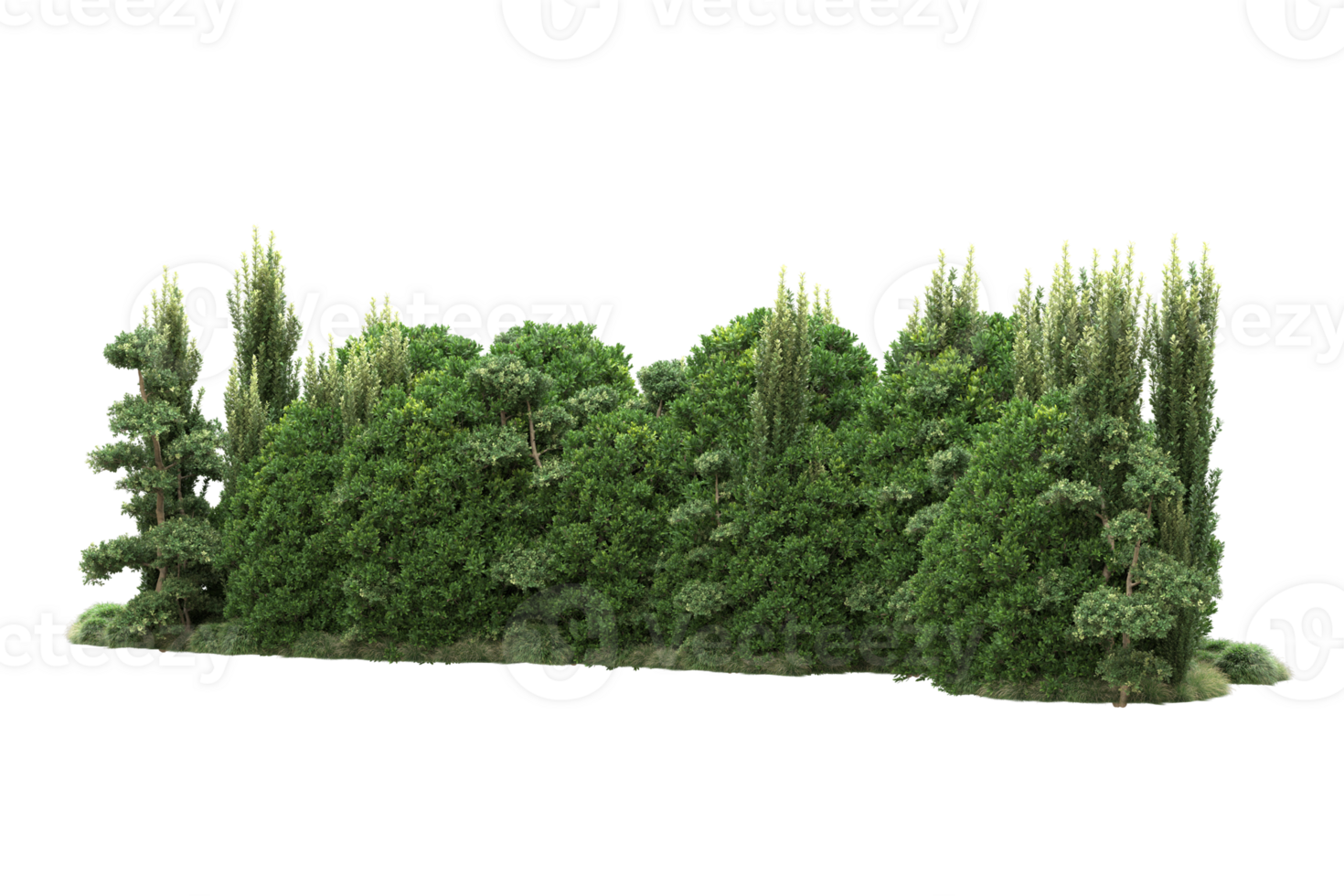 Realistic forest isolated on transparent background. 3d rendering - illustration png