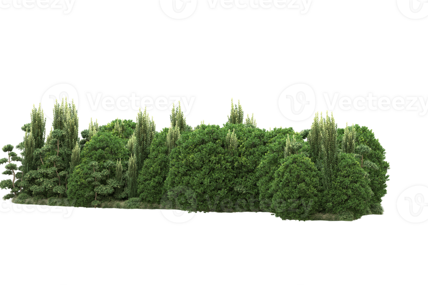 Realistic forest isolated on transparent background. 3d rendering - illustration png