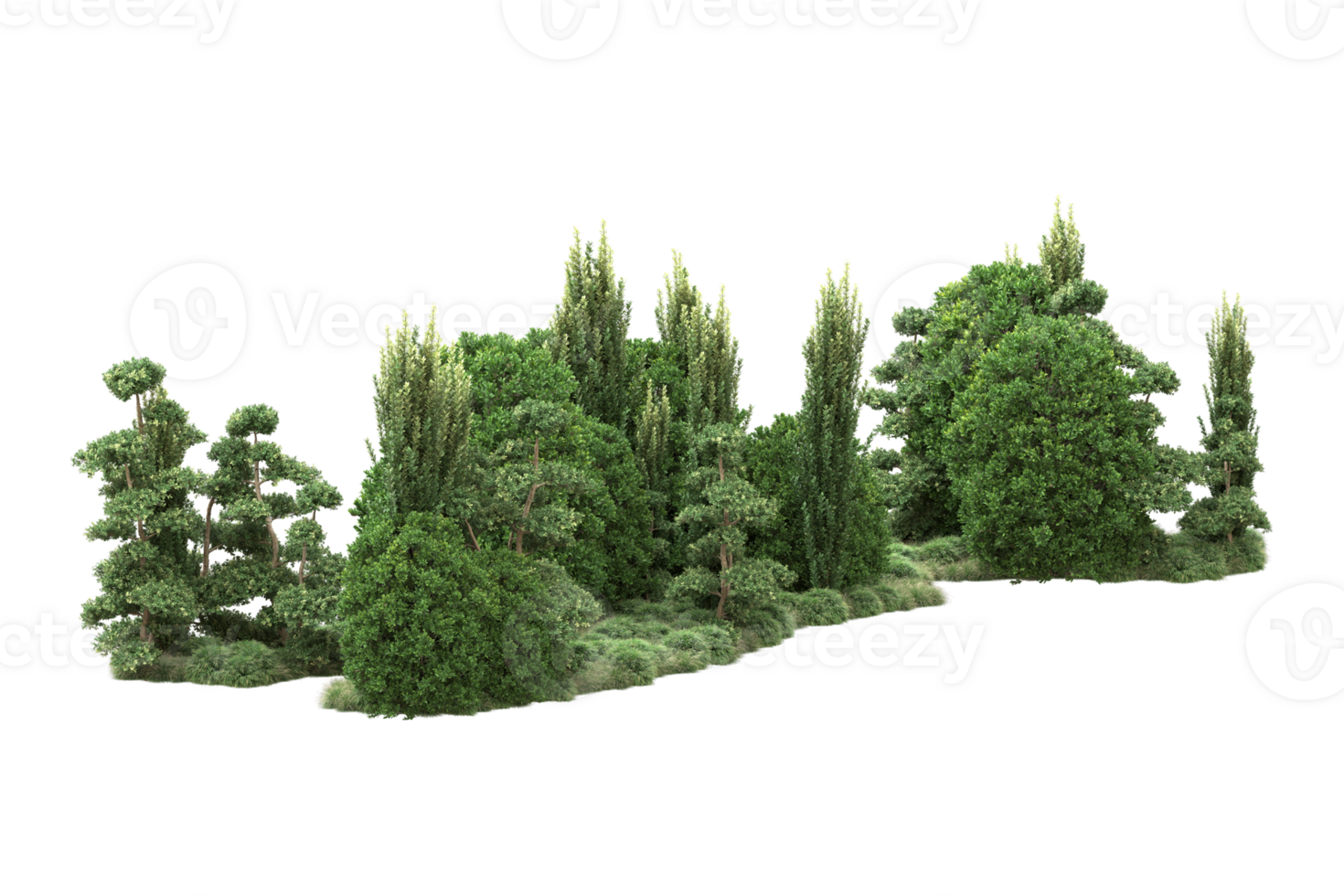 Realistic forest isolated on transparent background. 3d rendering - illustration png