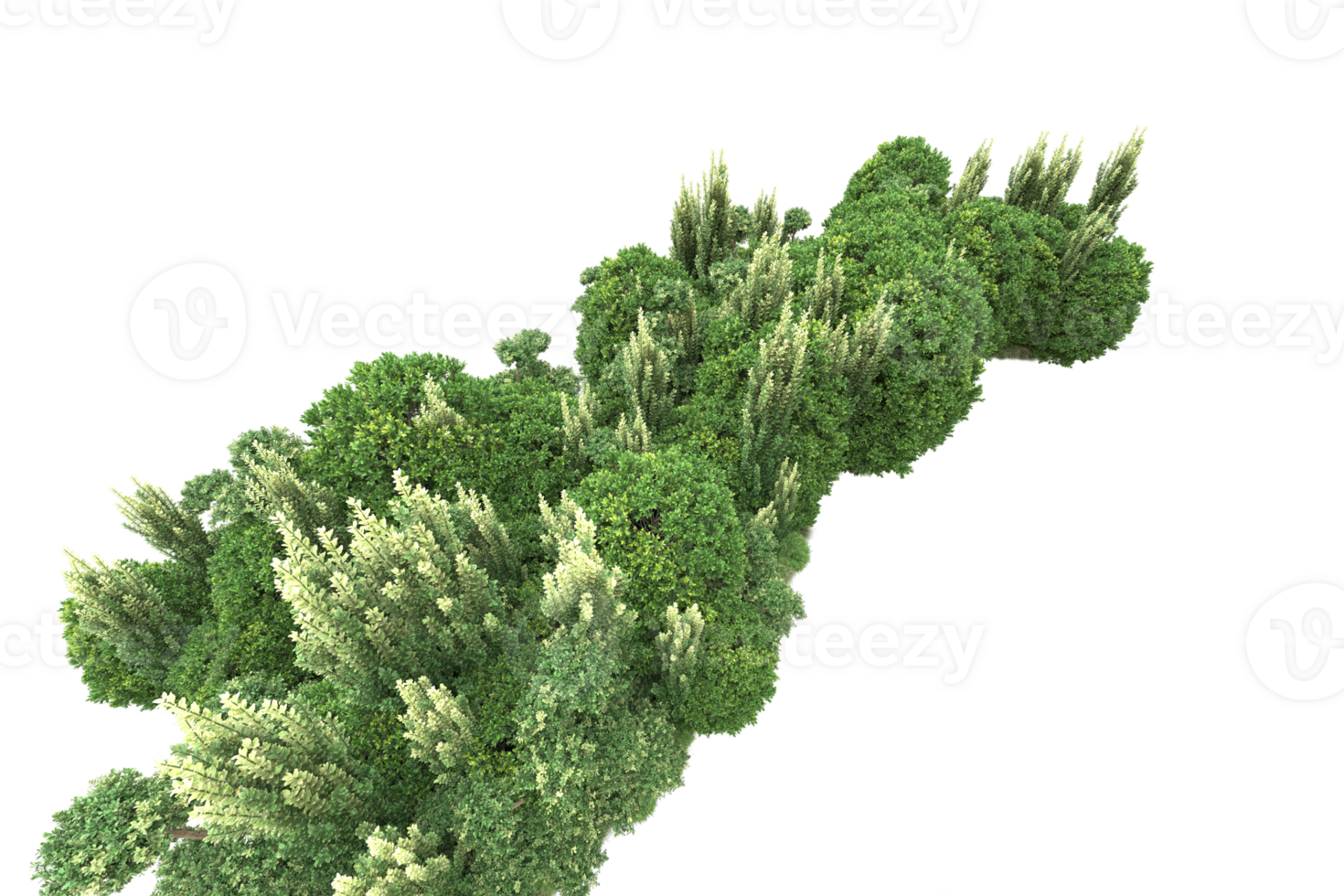 Realistic forest isolated on transparent background. 3d rendering - illustration png