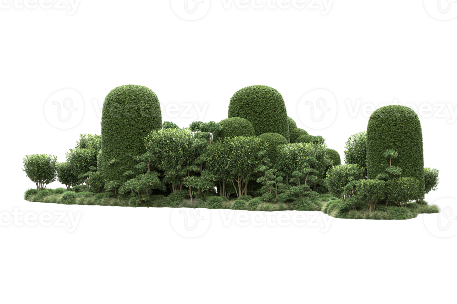 Realistic forest isolated on transparent background. 3d rendering - illustration png