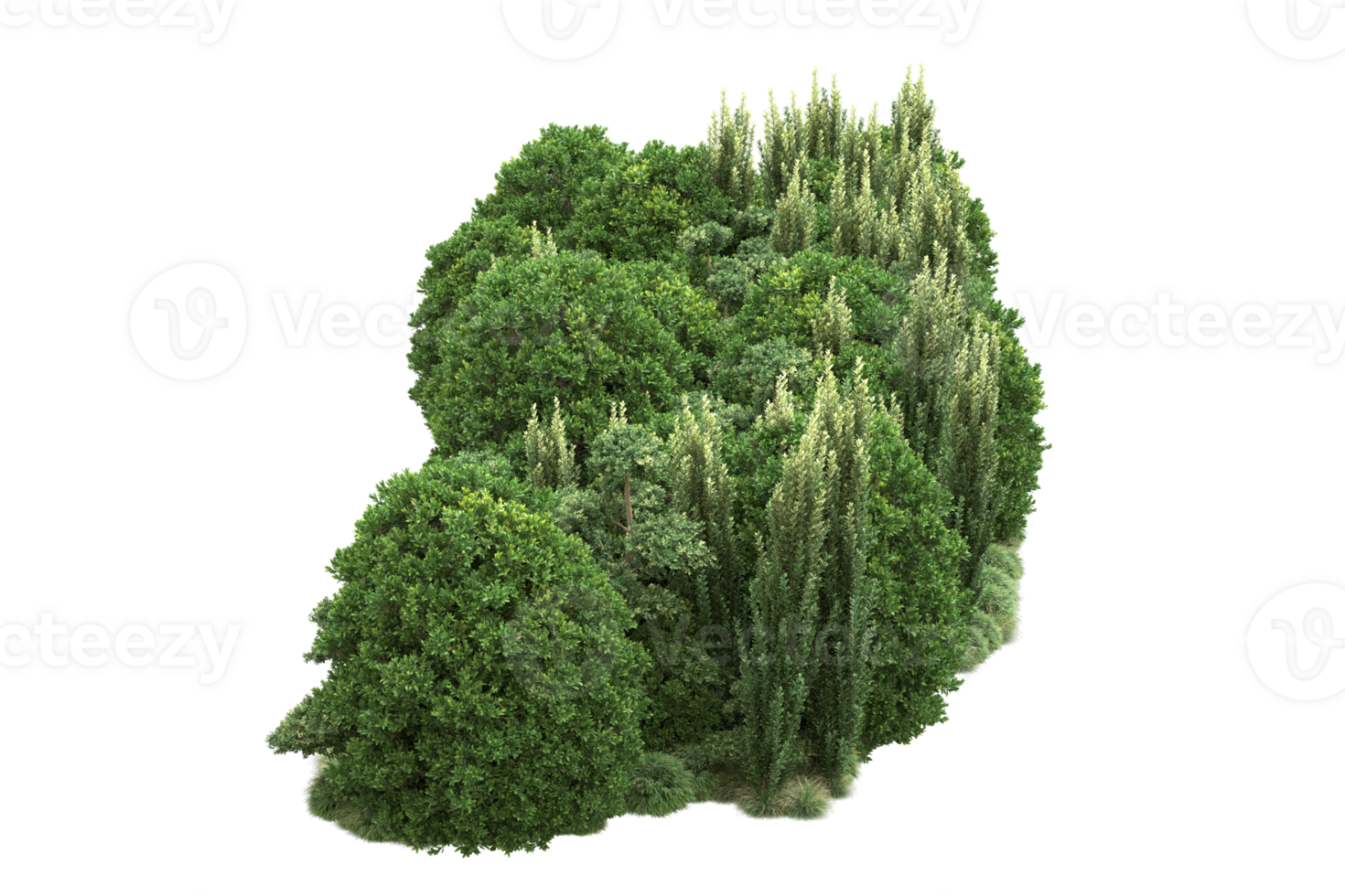 Realistic forest isolated on transparent background. 3d rendering - illustration png