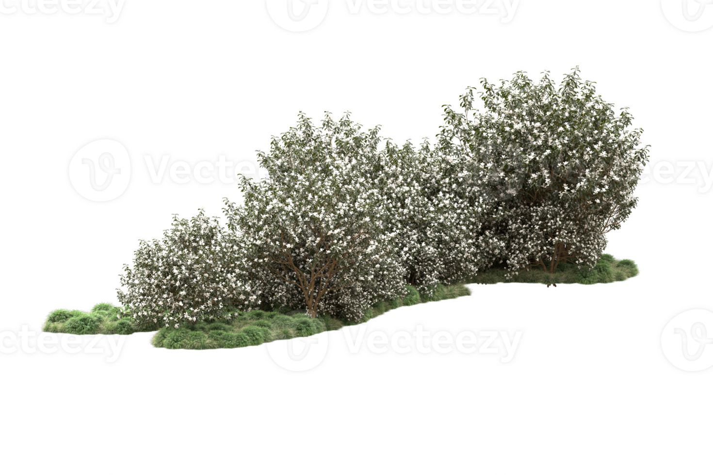 Realistic forest isolated on transparent background. 3d rendering - illustration png