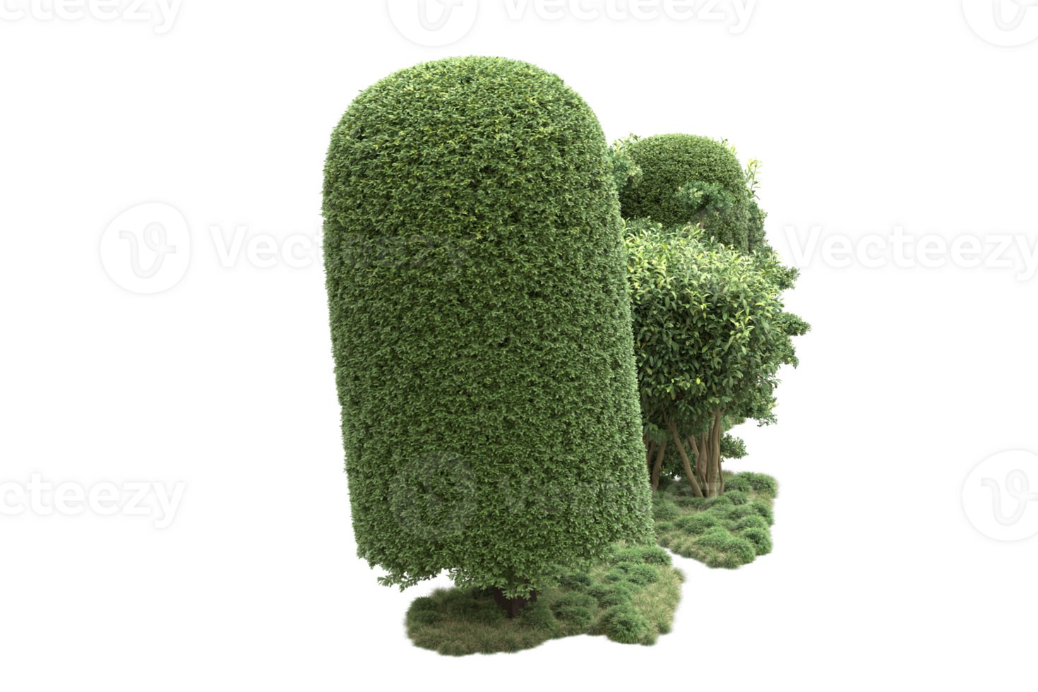 Realistic forest isolated on transparent background. 3d rendering - illustration png