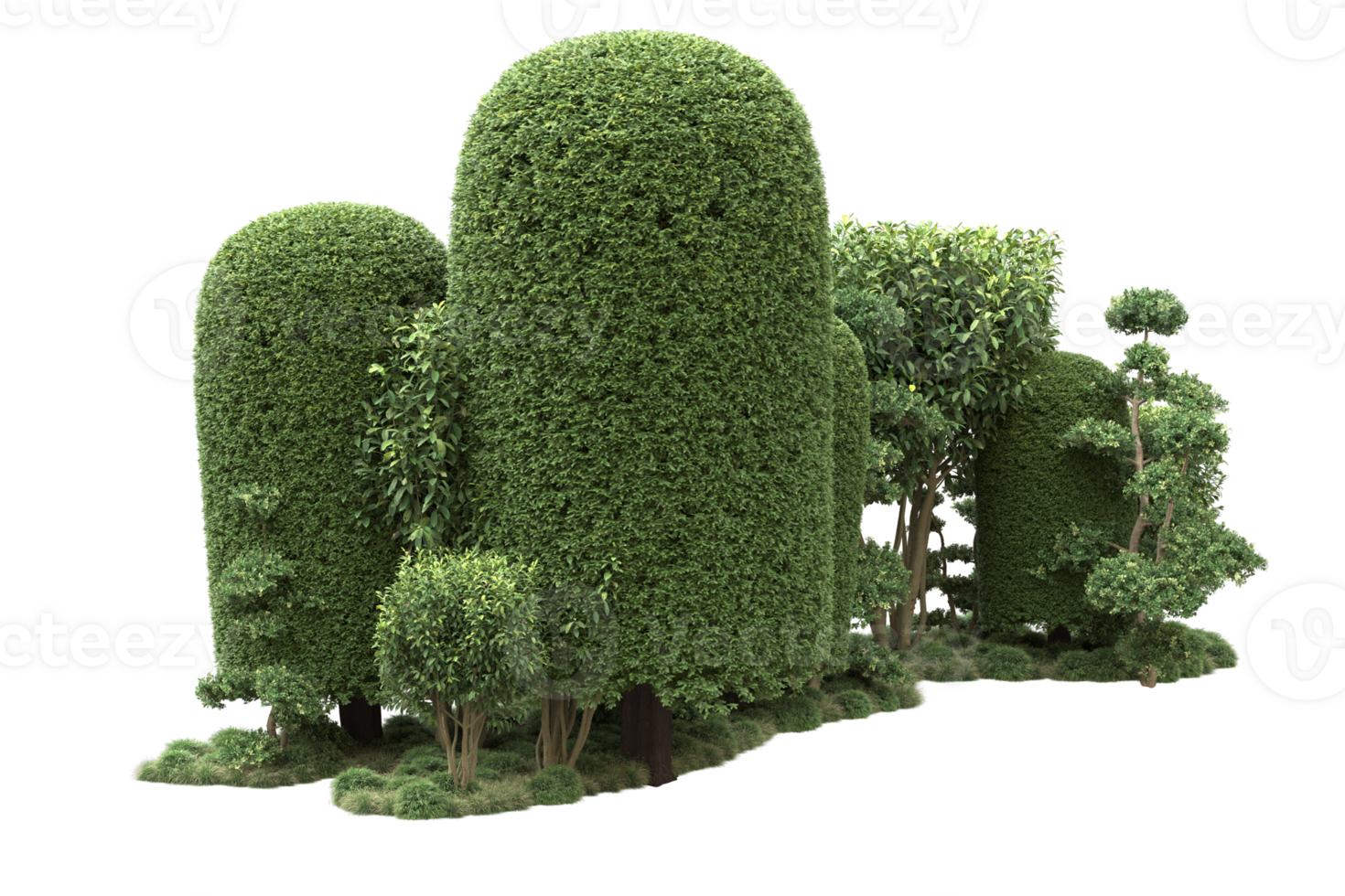 Realistic forest isolated on transparent background. 3d rendering - illustration png