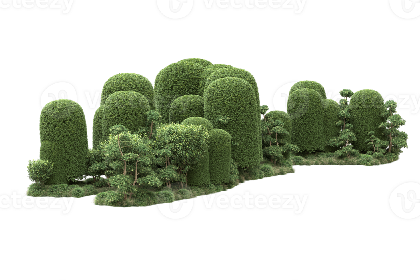 Realistic forest isolated on transparent background. 3d rendering - illustration png