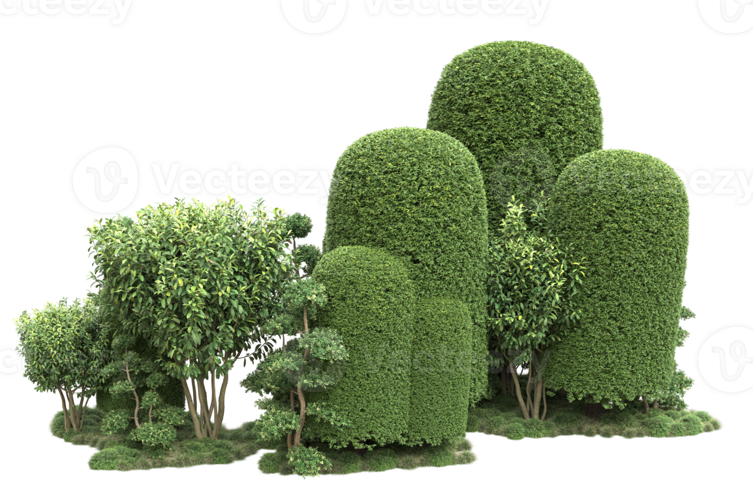 Realistic forest isolated on transparent background. 3d rendering - illustration png