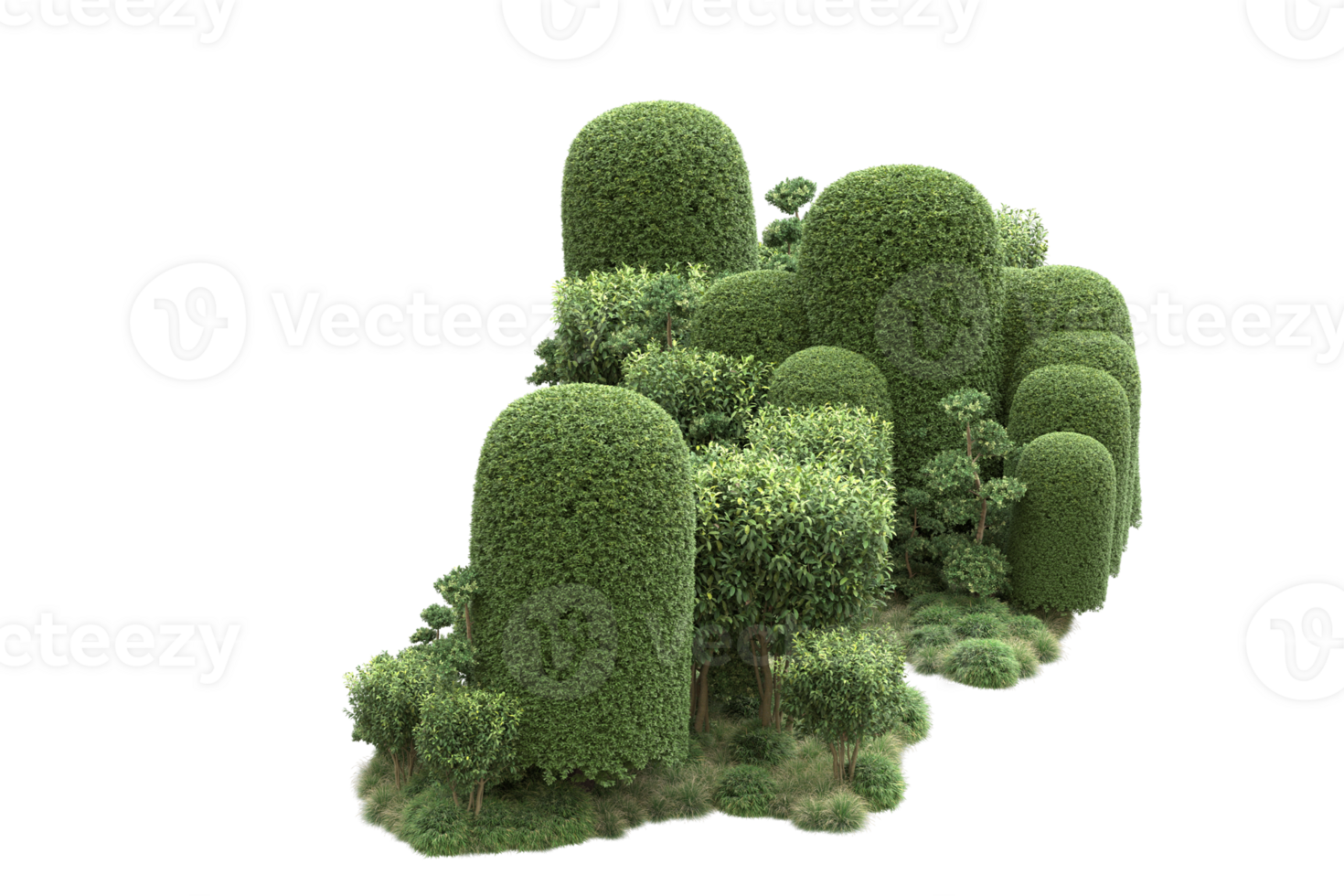 Realistic forest isolated on transparent background. 3d rendering - illustration png