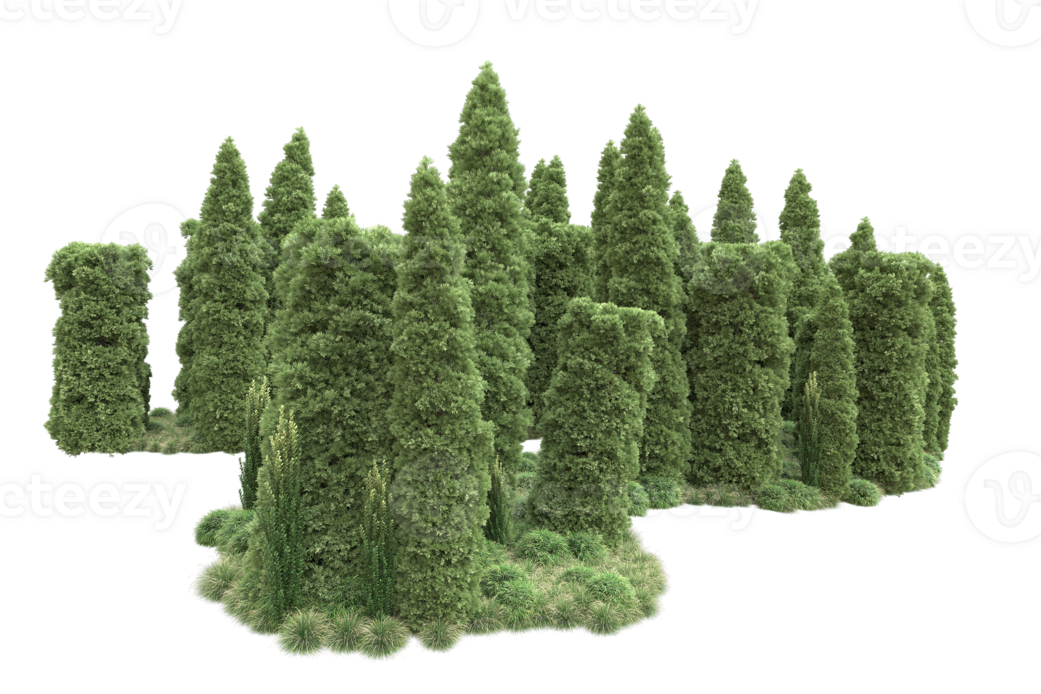 Realistic forest isolated on transparent background. 3d rendering - illustration png