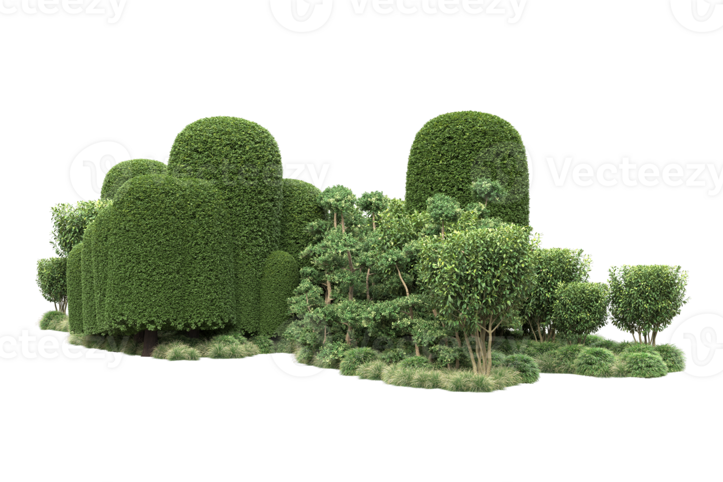 Realistic forest isolated on transparent background. 3d rendering - illustration png