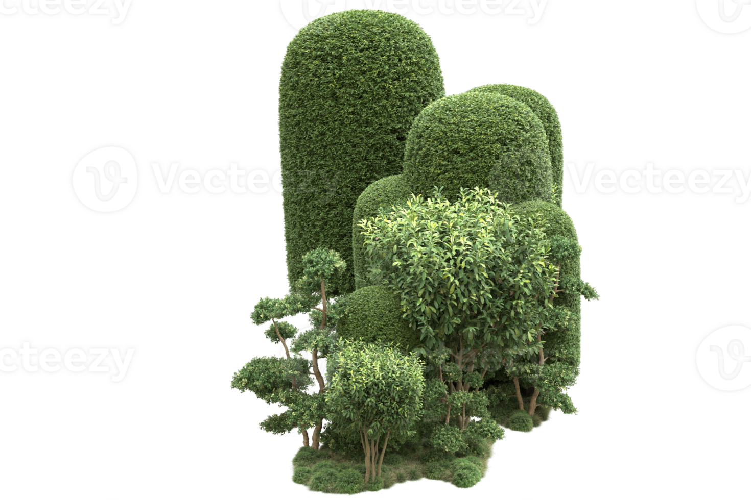 Realistic forest isolated on transparent background. 3d rendering - illustration png