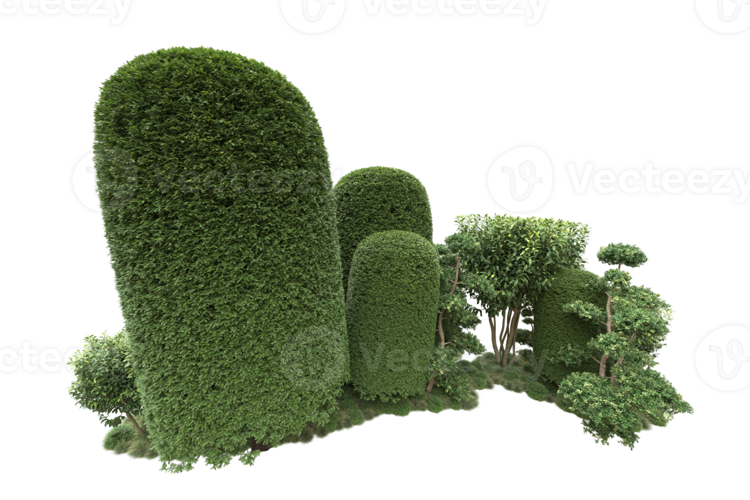 Realistic forest isolated on transparent background. 3d rendering - illustration png