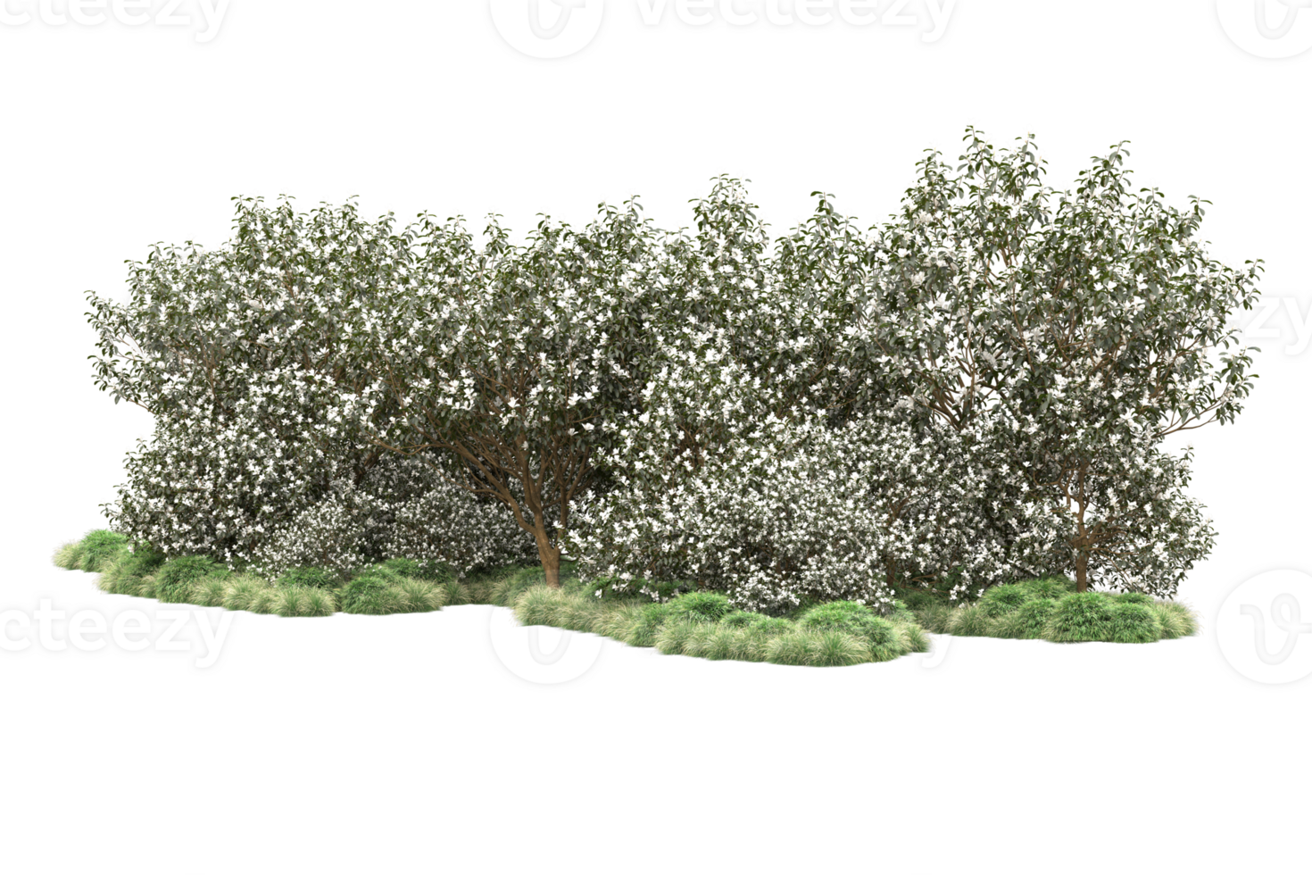 Realistic forest isolated on transparent background. 3d rendering - illustration png