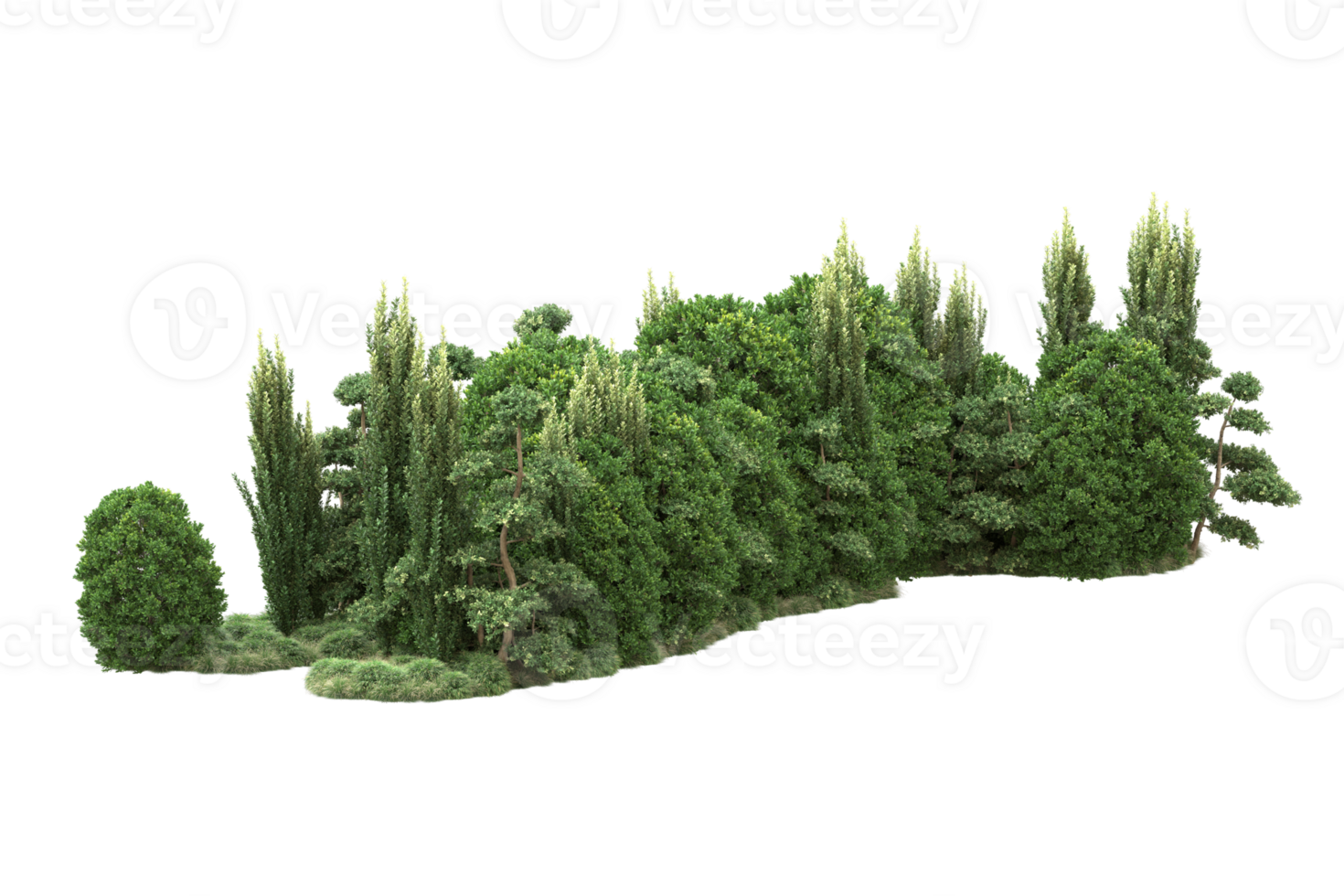 Realistic forest isolated on transparent background. 3d rendering - illustration png