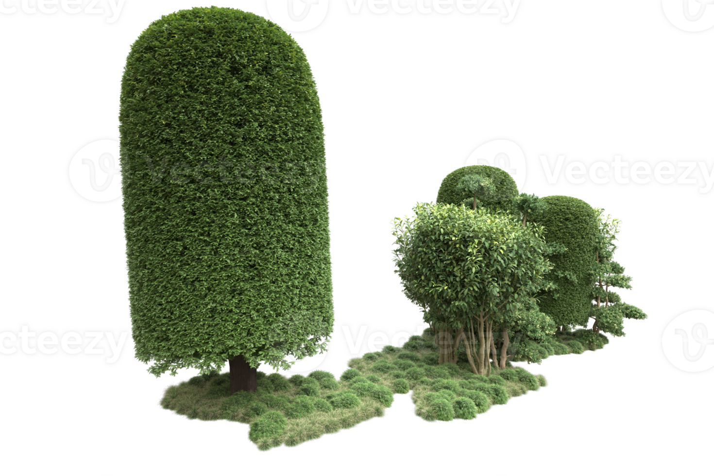 Realistic forest isolated on transparent background. 3d rendering - illustration png