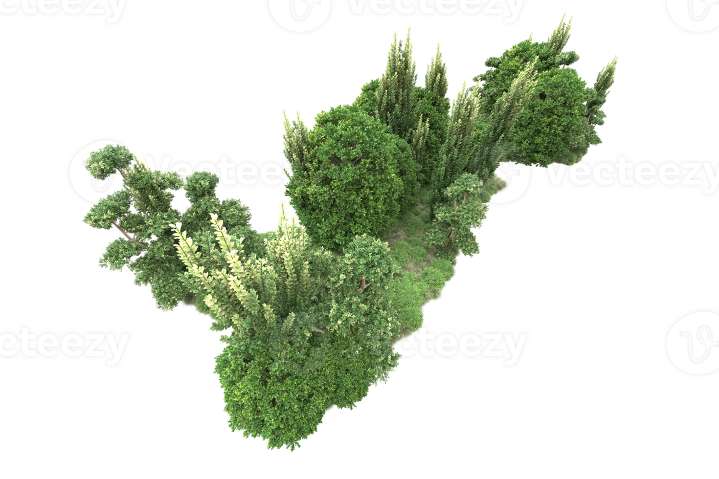 Realistic forest isolated on transparent background. 3d rendering - illustration png