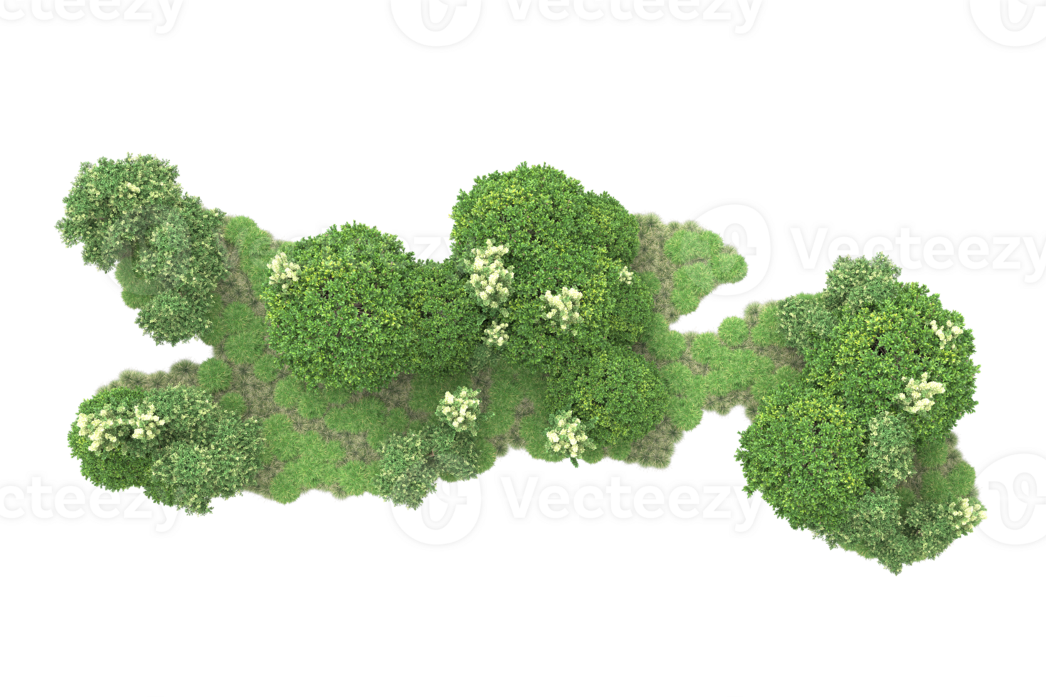 Realistic forest isolated on transparent background. 3d rendering - illustration png