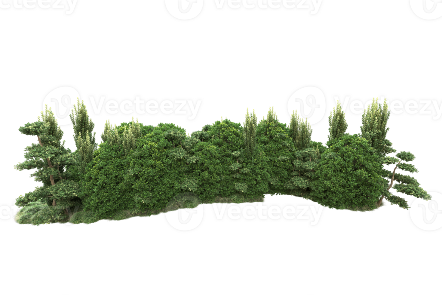 Realistic forest isolated on transparent background. 3d rendering - illustration png