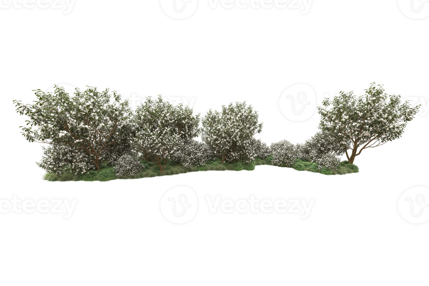 Realistic forest isolated on transparent background. 3d rendering - illustration png