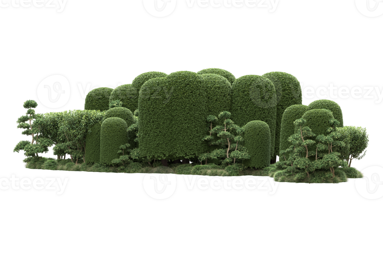 Realistic forest isolated on transparent background. 3d rendering - illustration png