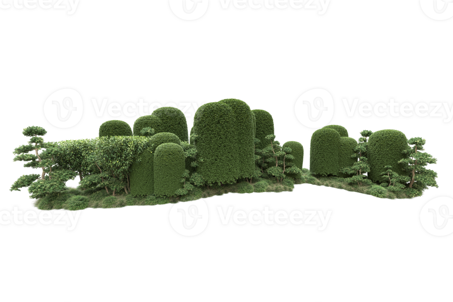 Realistic forest isolated on transparent background. 3d rendering - illustration png