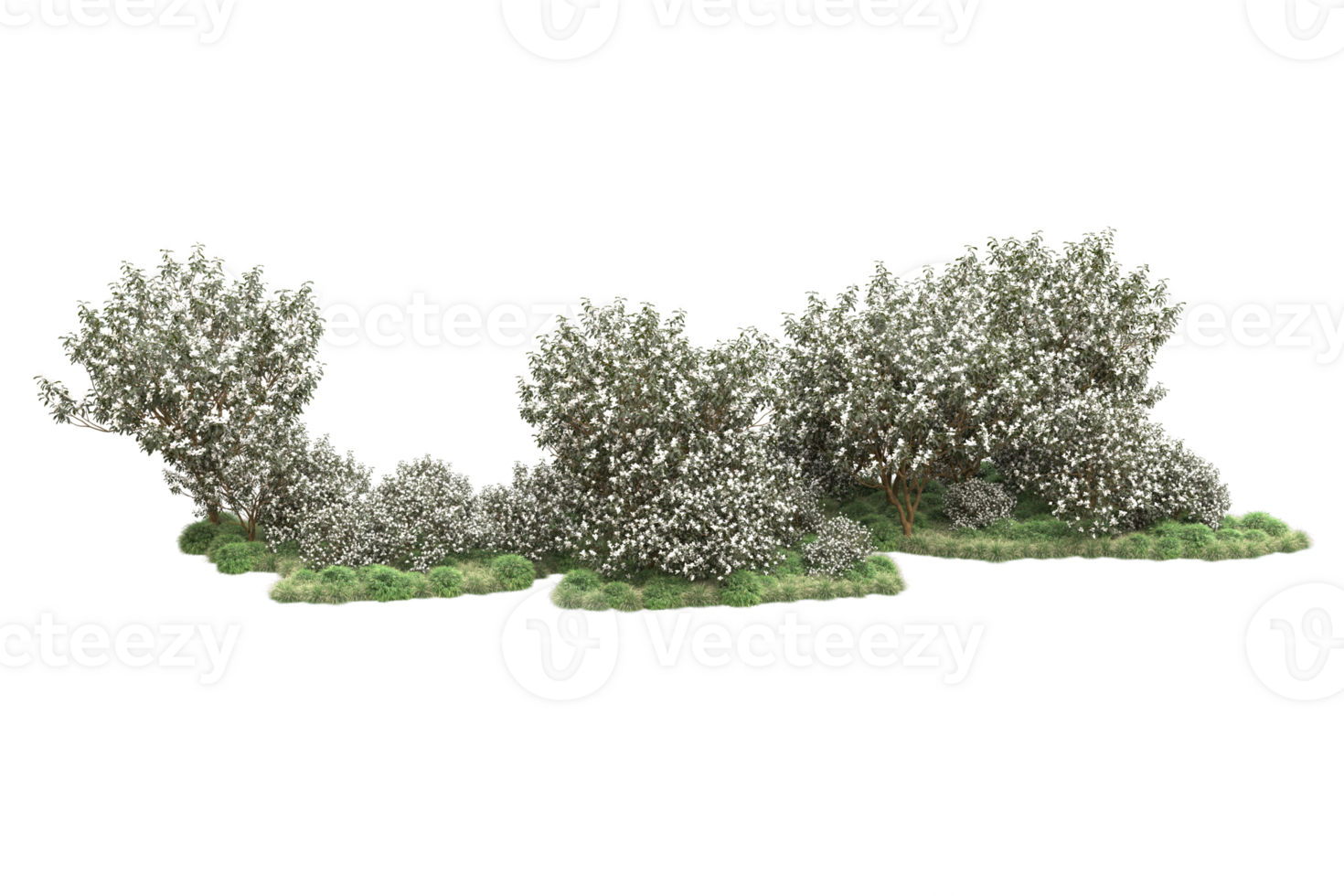 Realistic forest isolated on transparent background. 3d rendering - illustration png