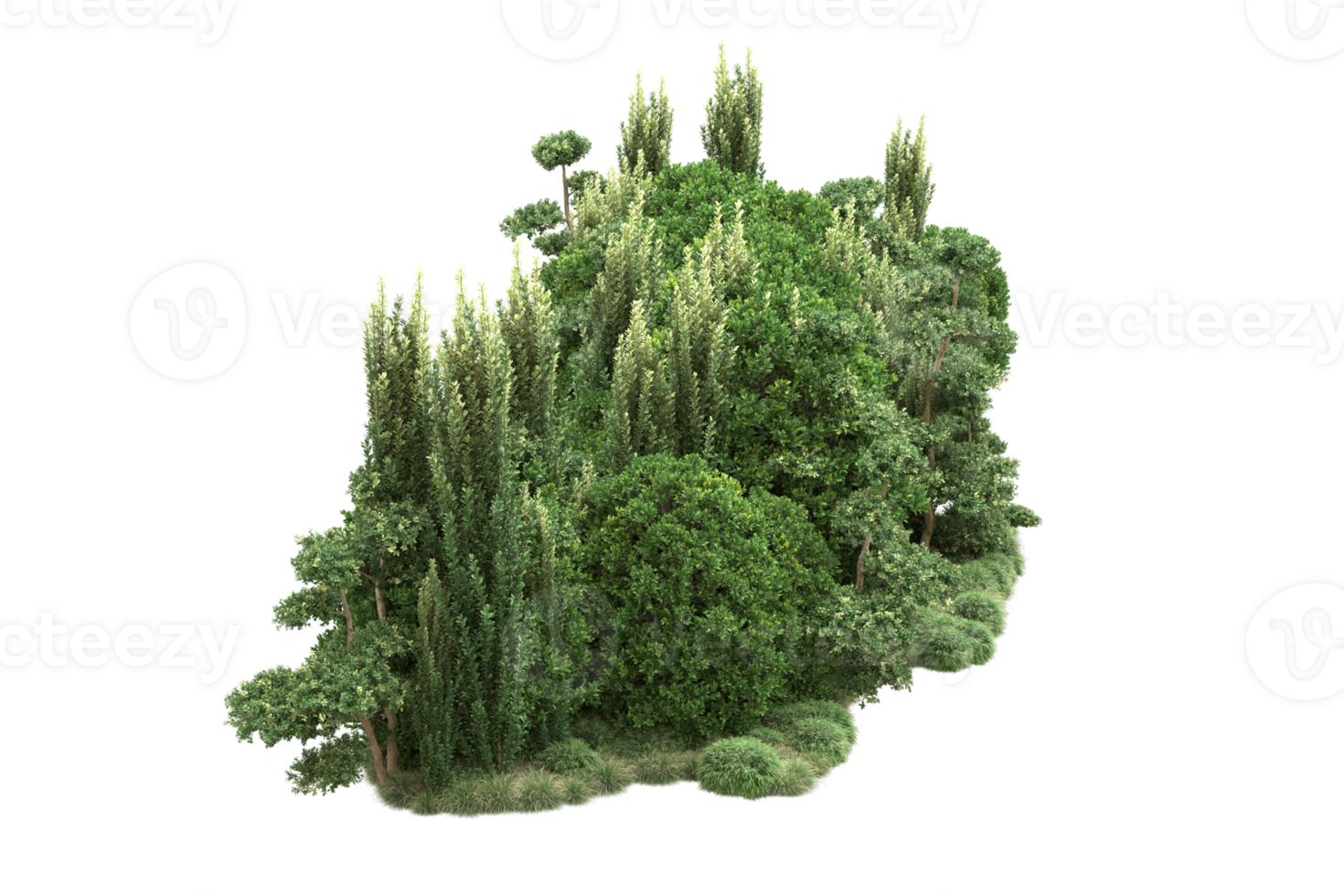 Realistic forest isolated on transparent background. 3d rendering - illustration png